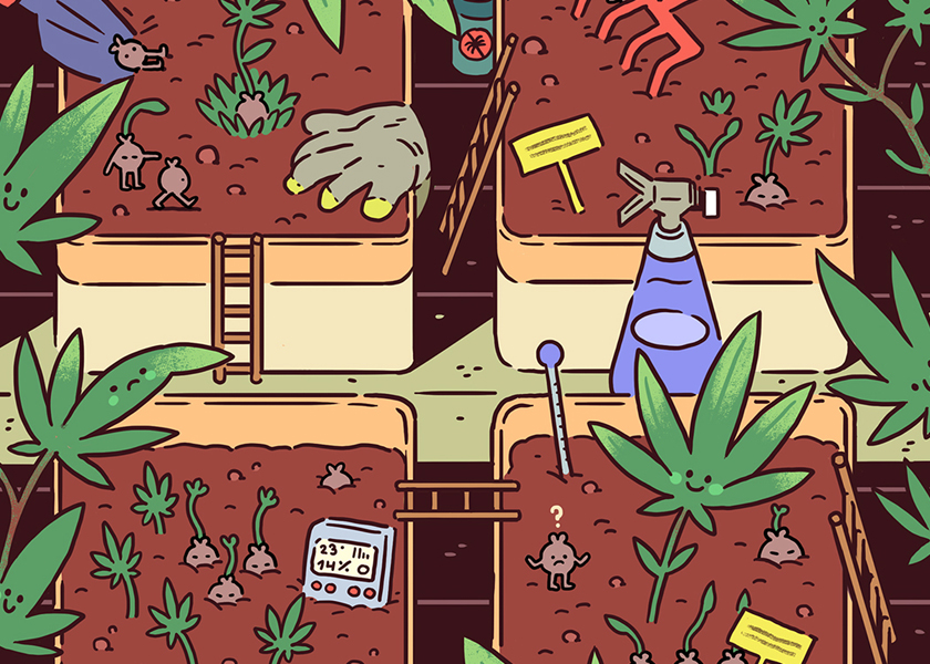 تمكين رمز الاستجابة السريعة أكياس CBD