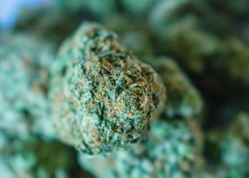 أكياس مايلر قابلة لإعادة التدوير الشفافة لـ CBD Gummies