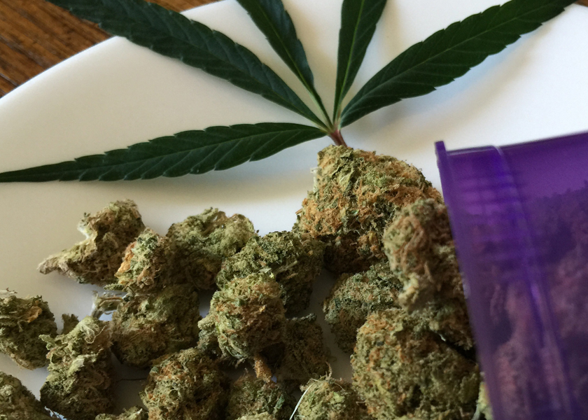 تغليف mylar القابل للتخصيص لـ Cannabis Gumkies