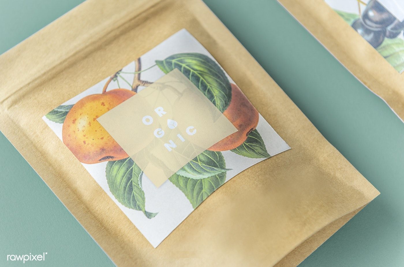 أكياس القابلة للتحلل الحيوي