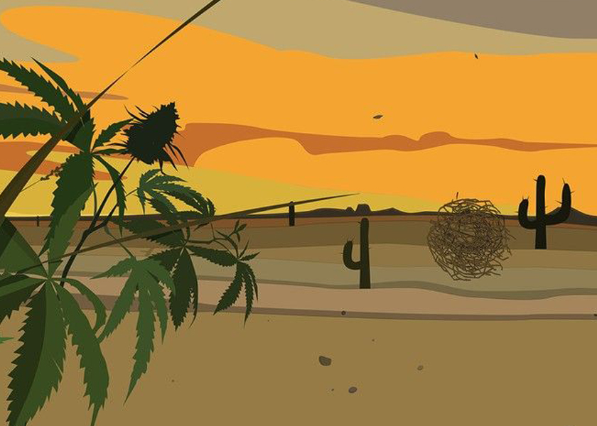 تعبئة THC جاهزة Metaverse