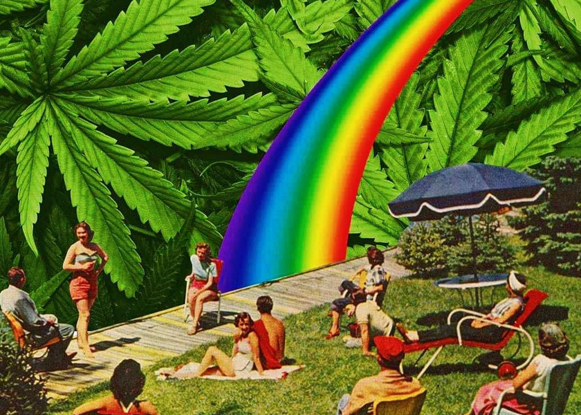 عبوة THC الفاخرة مع قفل الرمز البريدي والرقائق 