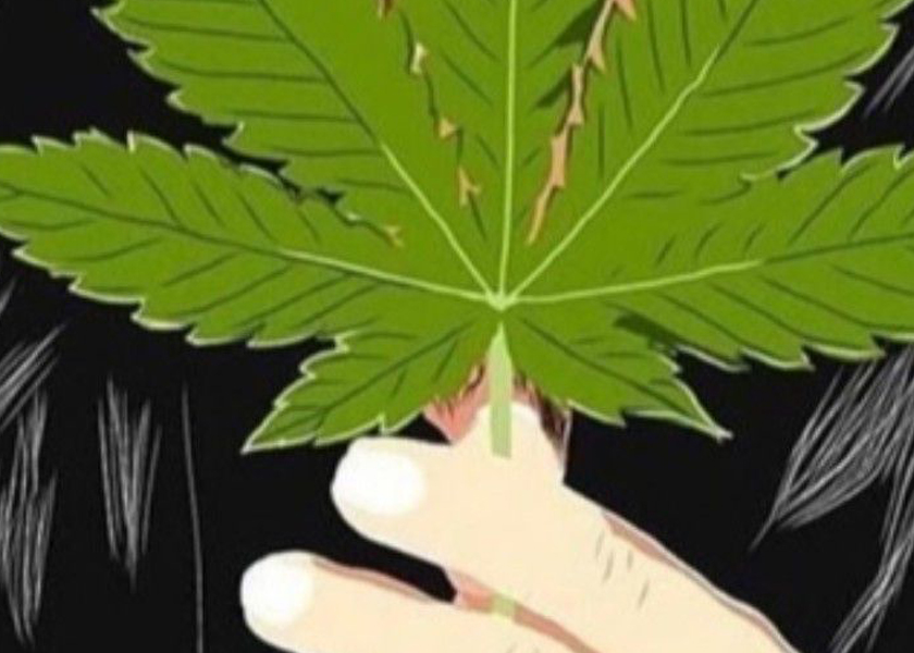 أكياس حقيبة الحلوى